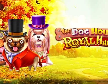 Hướng dẫn chơi slot Nhà của cún – Cuộc săn hoàng gia tại Fun88
