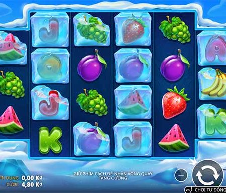 Cùng khám phá các tính năng trả thưởng tại slot Nhiệt đới băng giá